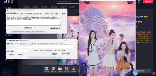 新电脑版抖音/快手/B站直播源获取+直播间实时录制+直播转播【软件+教程】-颜夕资源网-第13张图片