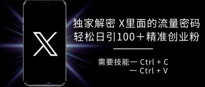 独家解密 X 里面的流量密码，复制粘贴轻松日引100+粉，精准迅速获客-颜夕资源网-第15张图片