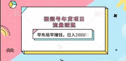 视频号年货项目，流量DD，早布局早挣钱，日入上k-颜夕资源网-第15张图片