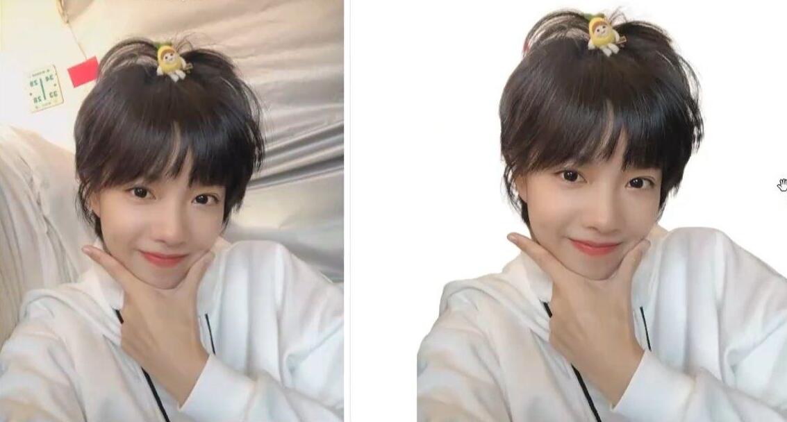 RMBG-2-Studio V2.0 抠图工具，支持批处理，毛发丝轻松扣-颜夕资源网-第14张图片