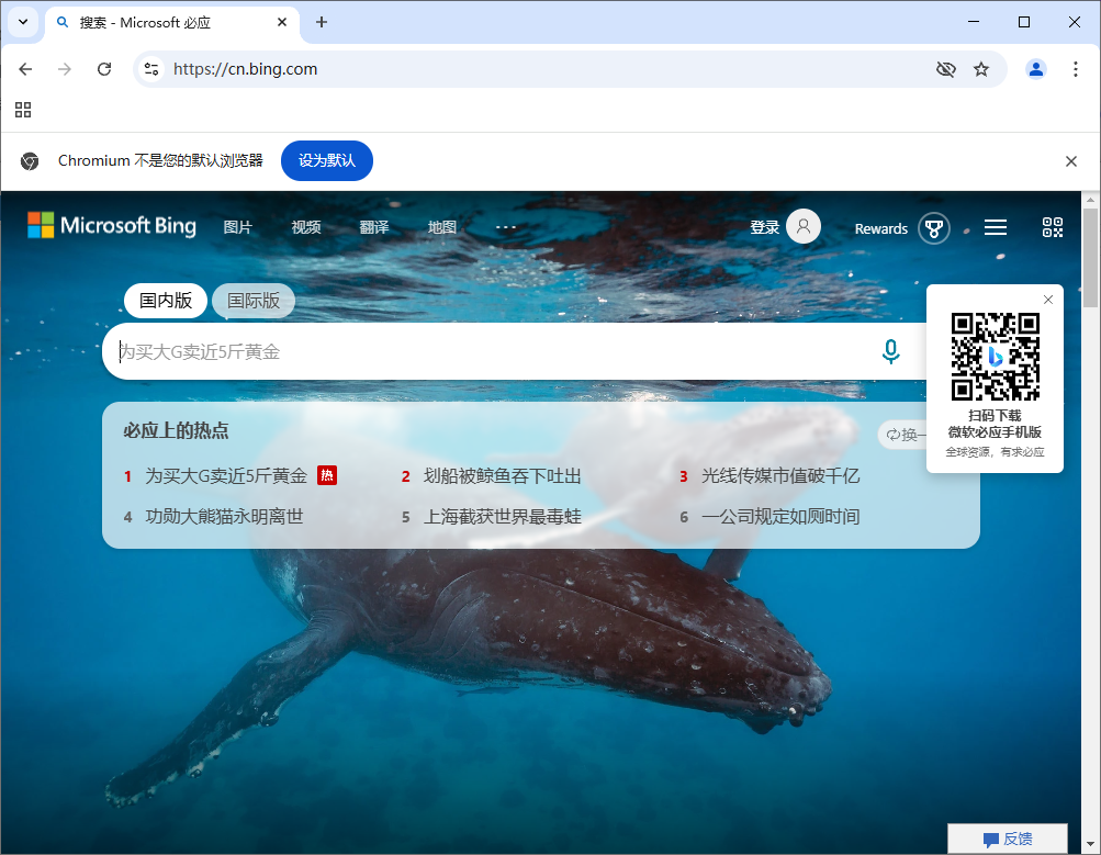 Ungoogled-Chromium v133.0.6943.98-1.1 中文绿色版-颜夕资源网-第15张图片