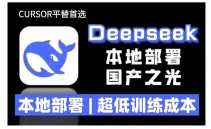 2025年deepseek R1 大型模型当地部署应用(文档 实例教程)本地部署,极低练习成本费-颜夕资源网-第15张图片 2025年deepseek R1 大型模型当地部署应用(文档 实例教程)本地部署,极低练习成本费-颜夕资源网-第15张图片