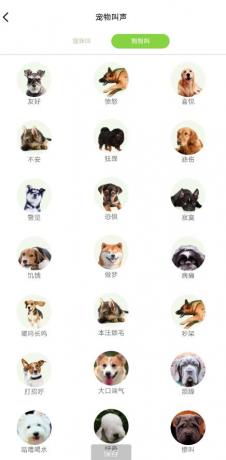 能和猫咪狗狗交流的宠物翻译器-颜夕资源网-第15张图片