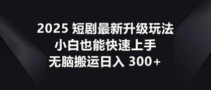 2025短剧最新升级玩法，小白也能快速上手，无脑搬运日入300+-颜夕资源网-第15张图片