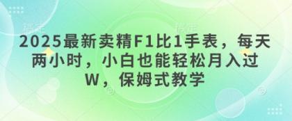 2025最新卖精F1比1手表，每天两小时，小白也能轻松月入过W，保姆式教学-颜夕资源网-第15张图片
