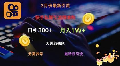 快手视频私信引流方法精准粉，当日奏效不用上传视频打金引流法日引300-颜夕资源网-第15张图片