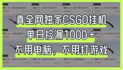 CSGO挂机，单日捡漏1000+，不用电脑，不用养号-颜夕资源网-第15张图片