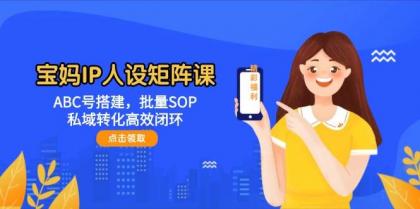 宝妈IP人设矩阵课：ABC号搭建，批量SOP，私域转化高效闭环-颜夕资源网-第15张图片