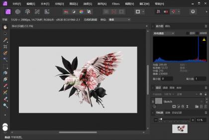 Affinity Photo v2 6 3 3322绿色便携版 专业图片处理工具-颜夕资源网-第15张图片