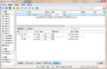qBittorrent(强大的BT下载工具)v5.1.0.10中文绿色增强版-颜夕资源网-第15张图片 qBittorrent(强大的BT下载工具)v5.1.0.10中文绿色增强版-颜夕资源网-第15张图片