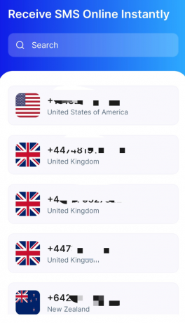 临时虚拟手机号接码用 国内不可用-颜夕资源网-第15张图片 临时虚拟手机号接码用 国内不可用-颜夕资源网-第15张图片