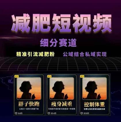 减肥短视频运营实战课：含素材制作、剪映教学，讲精准引流、变现设计与内容模板技巧-颜夕资源网-第16张图片