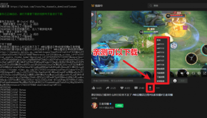 视频号下载器!支持直播回放下载,使用超简单,一键下载为MP4格式-颜夕资源网-第17张图片 视频号下载器!支持直播回放下载,使用超简单,一键下载为MP4格式-颜夕资源网-第17张图片