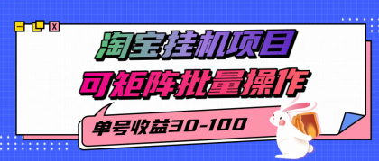揭秘2025最新淘宝挂机项目，单号30-100，可矩阵批量操作（附工具）-颜夕资源网-第15张图片