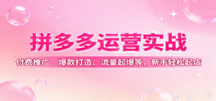 拼多多运营实战，付费推广、爆款打造、流量起爆等，新手轻松起店-颜夕资源网-第15张图片