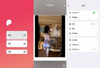 peachy抠图、P图、滤镜解锁会员版-颜夕资源网-第15张图片