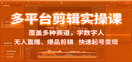 多平台剪辑实操课：覆盖多种赛道，学数字人、无人直播、爆品剪辑，快速起号变现-颜夕资源网-第15张图片