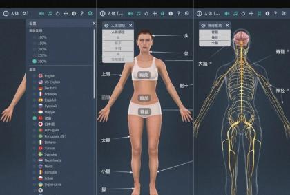 人体系统女性3D-1.0详细介绍女性全身系统～无广版-颜夕资源网-第15张图片