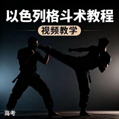 防身术以色列马伽术健身视频教程教学以色列格斗术-颜夕资源网-第15张图片