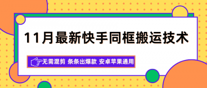 11月最新快手同框搬运技术，无需混剪 条条出爆款 安卓苹果通用-颜夕资源网-第15张图片