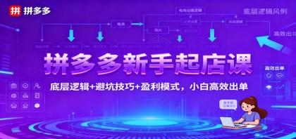 拼多多新手起店课：底层逻辑+避坑技巧+盈利模式，小白高效出单-颜夕资源网-第15张图片