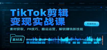 TikTok剪辑变现实战课：素材获取，PR技巧，搬运运营，解锁赚钱新技能-颜夕资源网-第15张图片