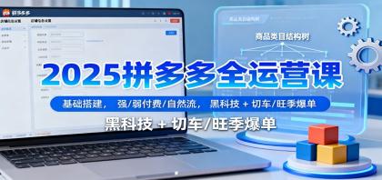 2025拼多多全运营课：基础搭建，强/弱付费/自然流，黑科技 + 切车/旺季爆单-颜夕资源网-第15张图片