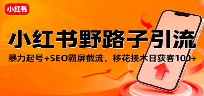 小红书野路子引流，暴力起号+SEO霸屏截流，移花接木日获客100+-颜夕资源网-第15张图片