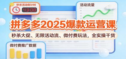 拼多多2025爆款运营课:秒杀大促、无限活动流、微付费玩法,全实操干货-颜夕资源网-第15张图片 拼多多2025爆款运营课:秒杀大促、无限活动流、微付费玩法,全实操干货-颜夕资源网-第15张图片