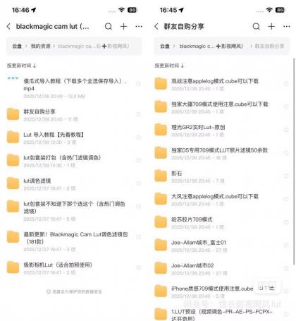 Blackmagic Cam Lut包影视飓风+馆长Lut 木木等滤镜包-颜夕资源网-第16张图片