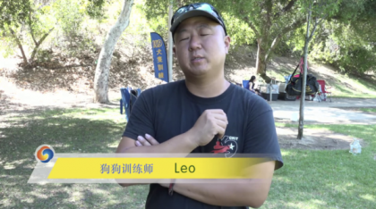 宠物训练-训狗教程Dog Training-颜夕资源网-第15张图片